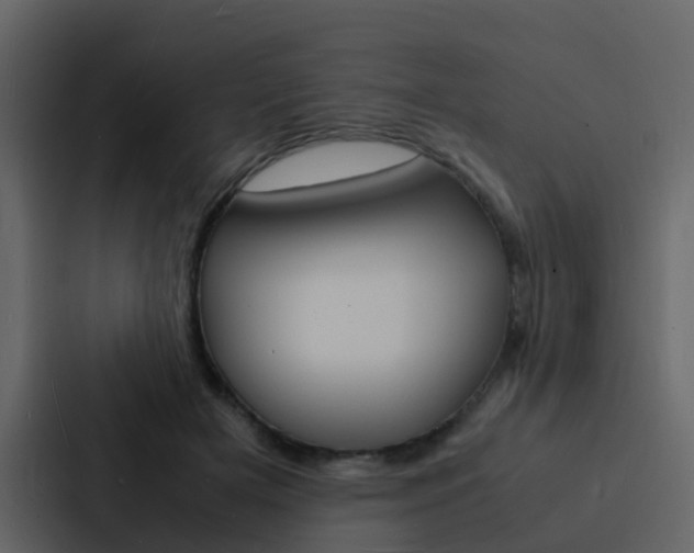 X0000088130505200705141000