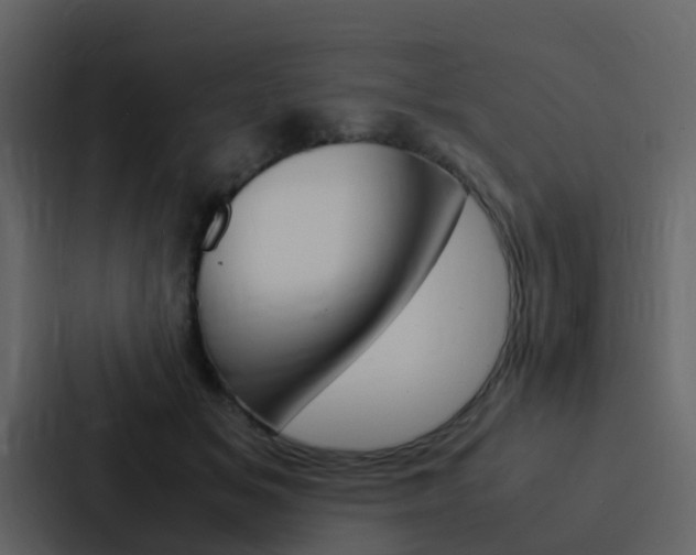 X0000088130509200705141000