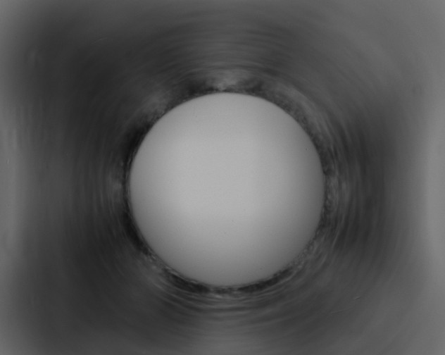 X0000088130510200705141000
