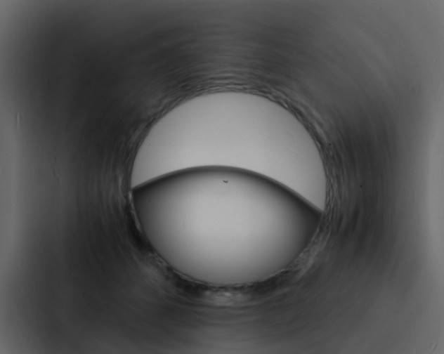 X0000088130512200705141000