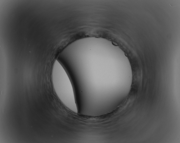X0000088130513200705141000