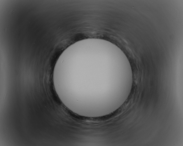 X0000088130515200705141000
