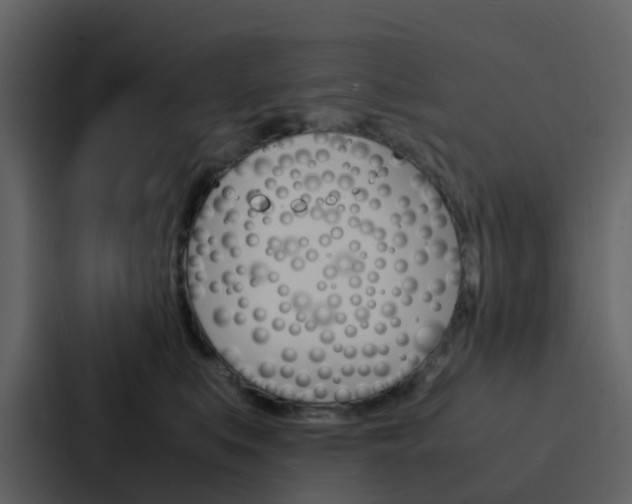 X0000088130519200705141000