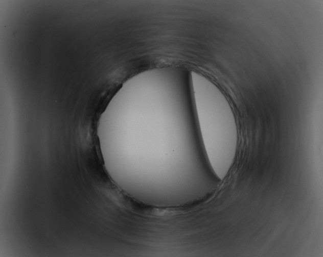 X0000088130520200705141000