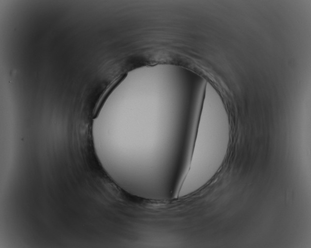 X0000088130521200705141000