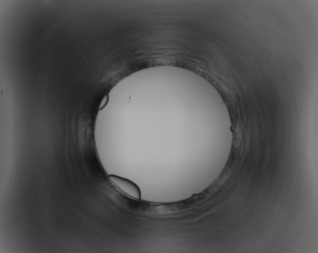 X0000088130522200705141000