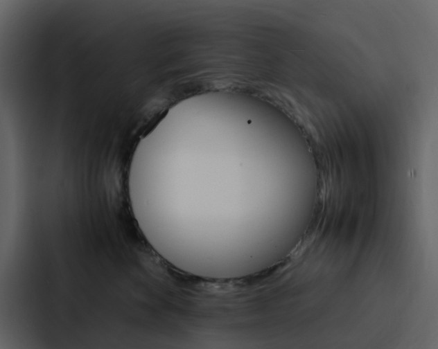 X0000088130524200705141000