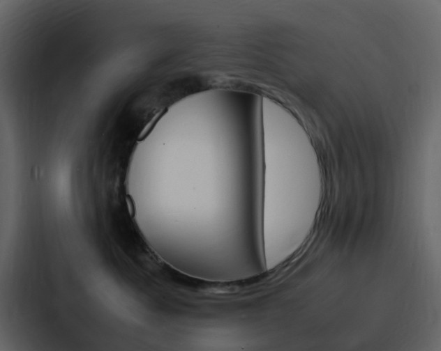 X0000088130525200705141000