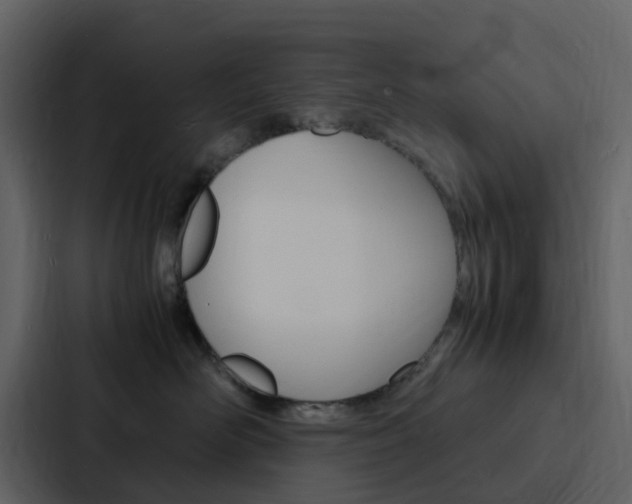 X0000088130526200705141000