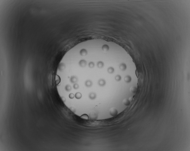 X0000088130527200705141000