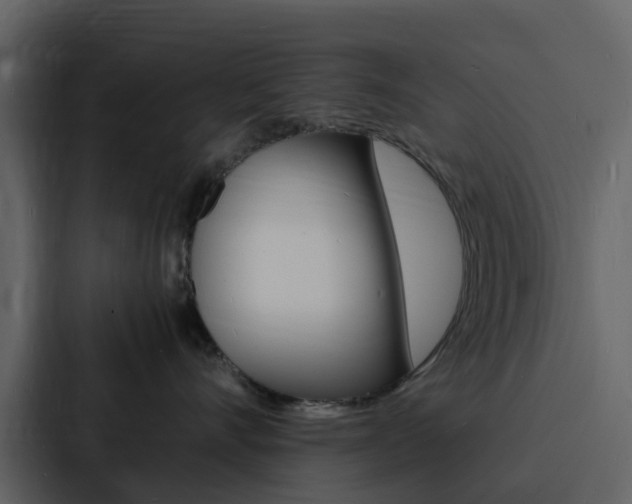 X0000088130528200705141000