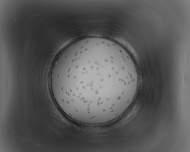 X0000088130529200705140959