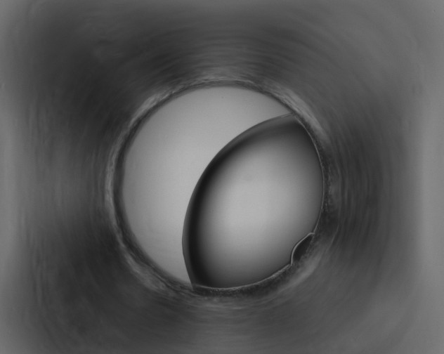 X0000088130530200705140959