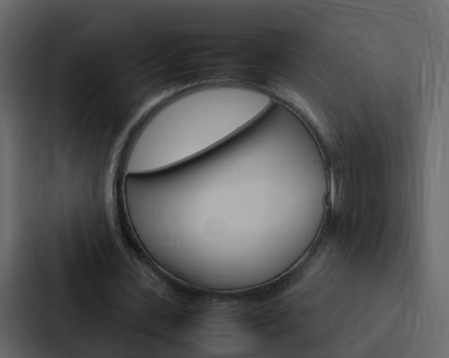 X0000088130531200705140959