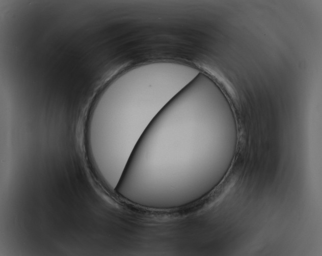 X0000088130533200705140959