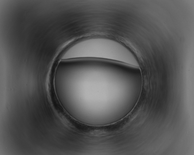 X0000088130536200705140959