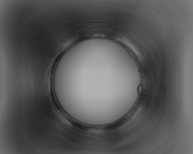 X0000088130537200705140959