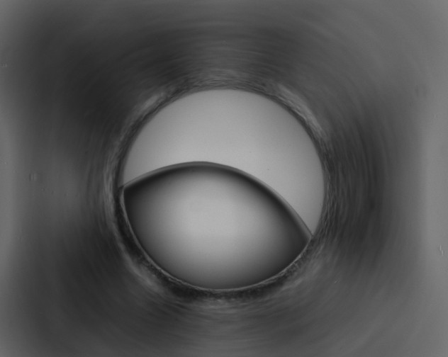 X0000088130538200705140959
