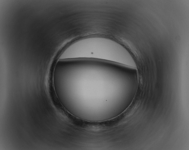X0000088130540200705140959