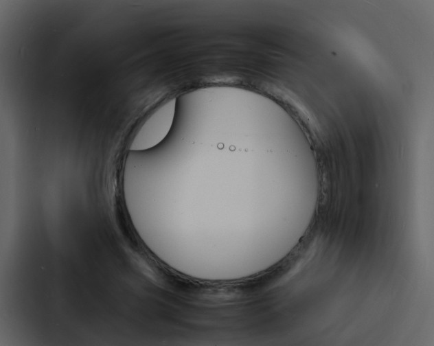 X0000088130541200705140959