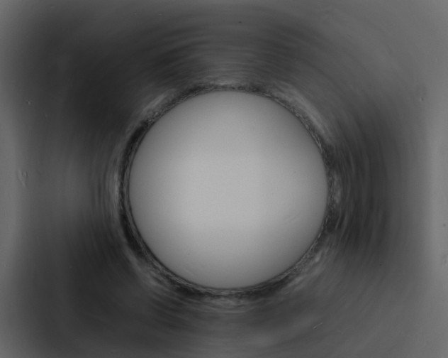 X0000088130542200705140959