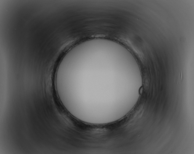 X0000088130543200705140959