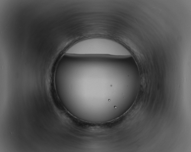 X0000088130544200705140959