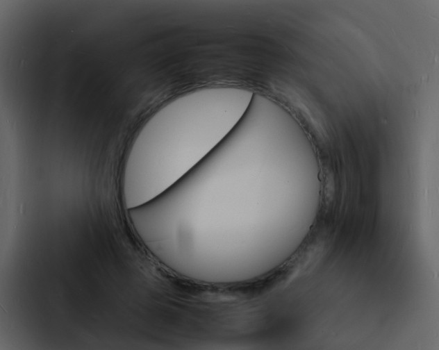 X0000088130545200705140959