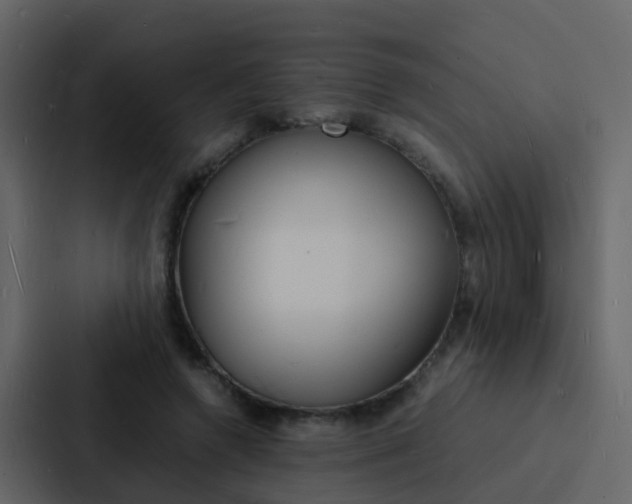 X0000088130546200705140959