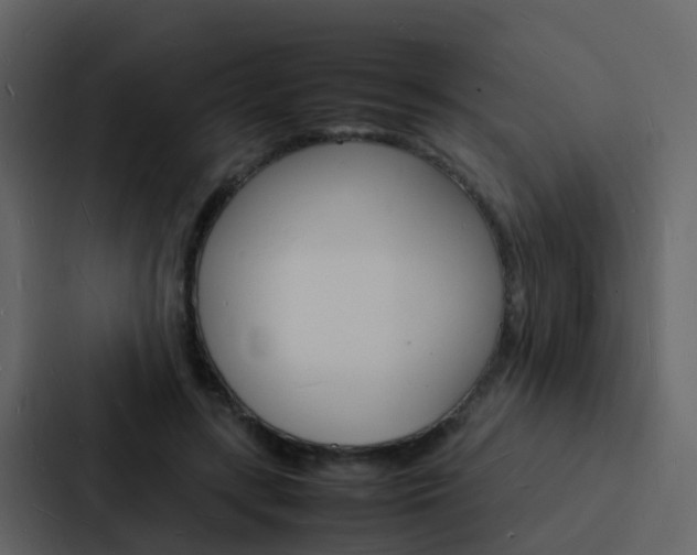 X0000088130547200705140959
