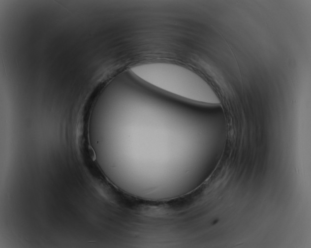 X0000088130548200705140959