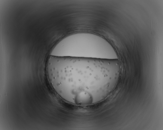 X0000088130550200705140959
