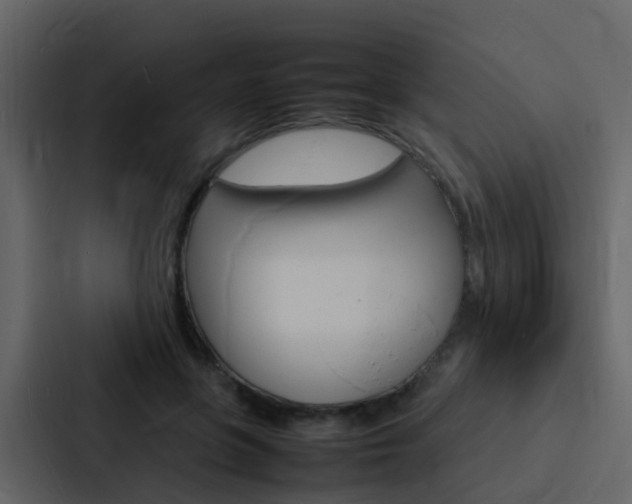 X0000088130551200705140959