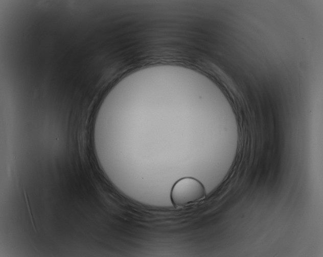 X0000088130552200705140959