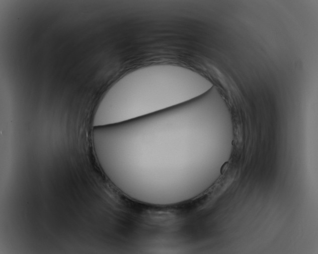 X0000088130553200705140959