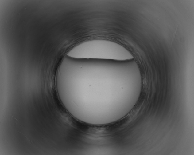 X0000088130554200705140959