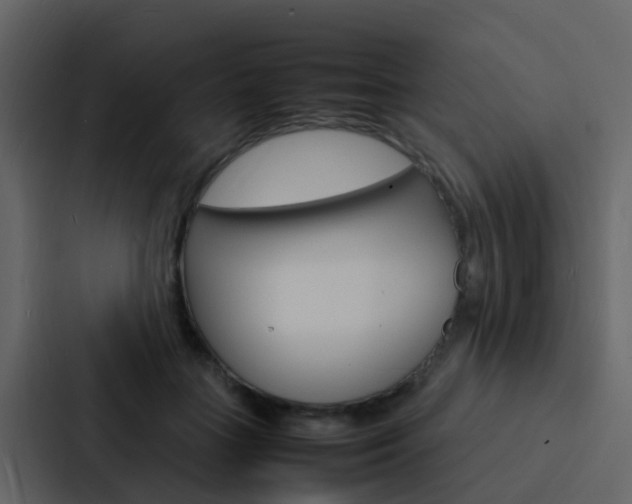 X0000088130555200705140959
