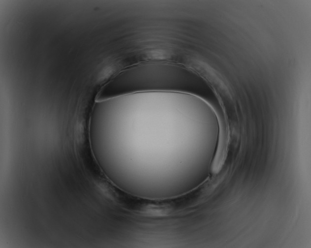 X0000088130556200705140959
