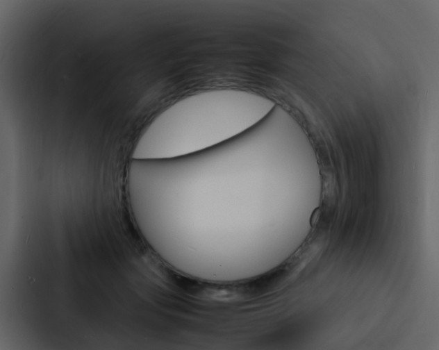 X0000088130557200705140959
