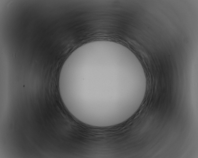 X0000088130560200705140959