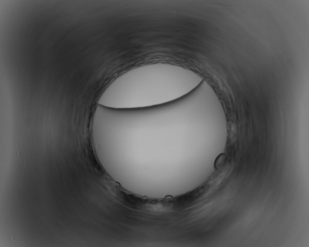X0000088130561200705140959