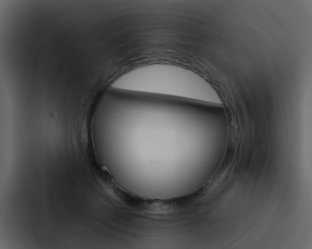 X0000088130562200705140959