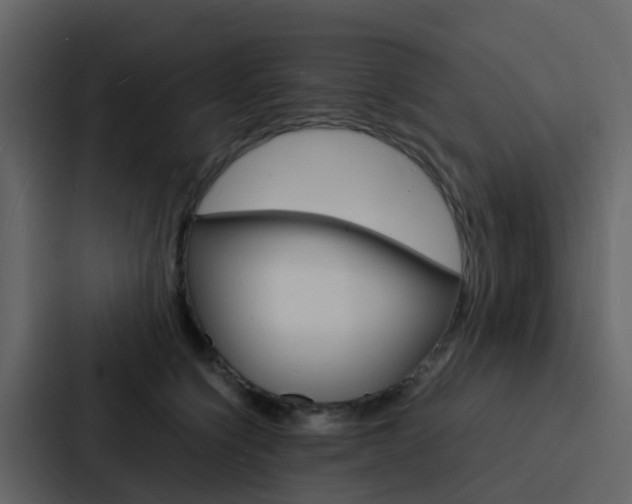 X0000088130564200705140959