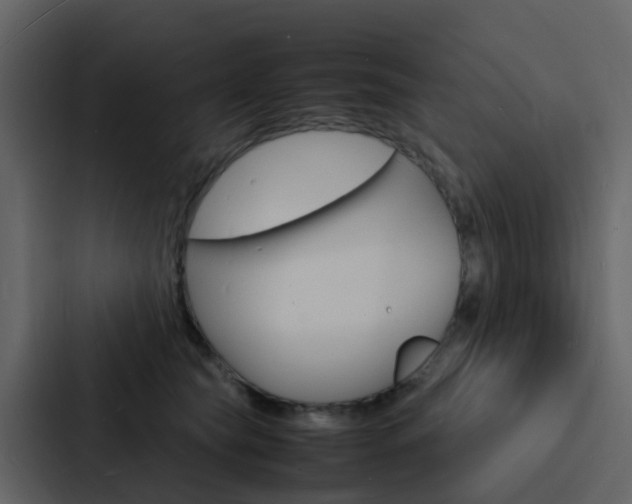 X0000088130565200705140959