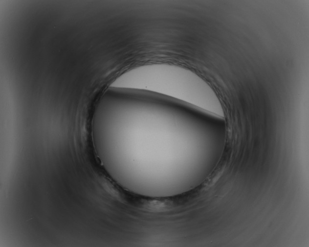 X0000088130566200705140959