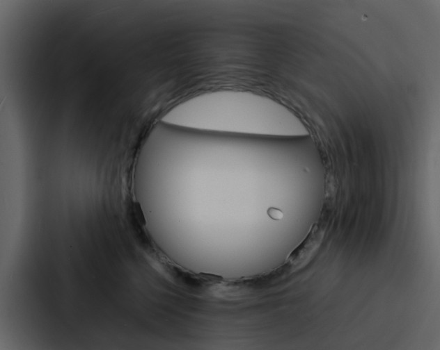 X0000088130568200705140959