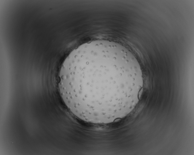 X0000088130569200705140959