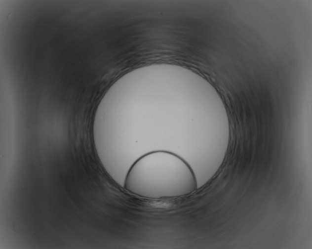 X0000088130570200705140959