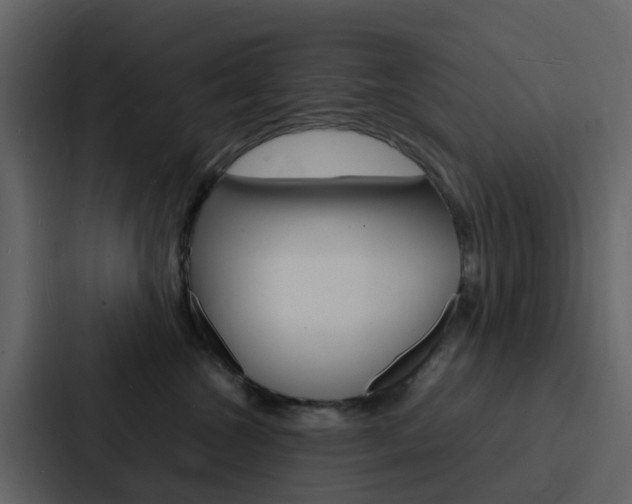 X0000088130572200705141000