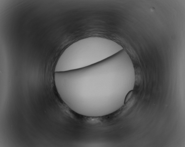 X0000088130573200705141000